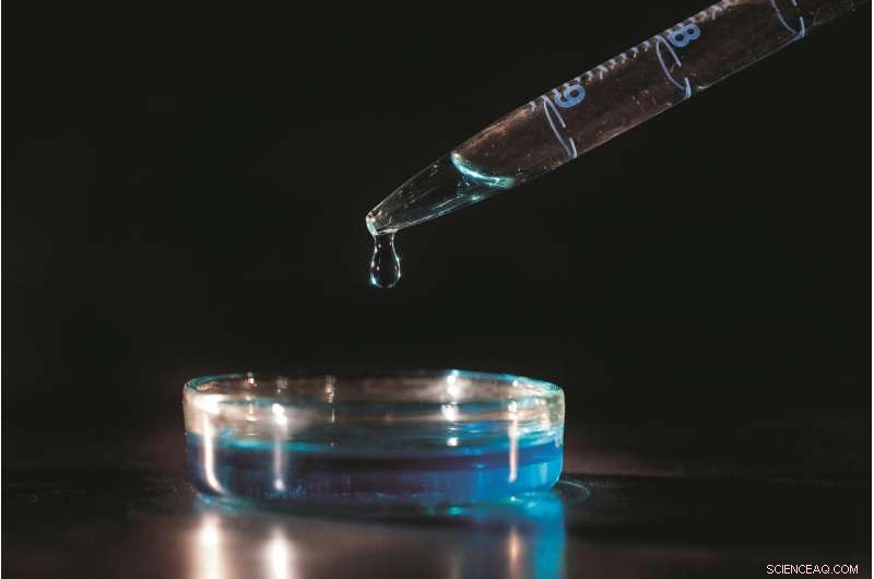 Examining Consumer Acceptance of Lab-Grown Meat: Insights from KIT Research