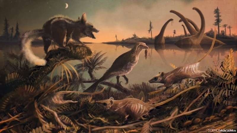 Earliest Mammal Ancestors Unearthed on Dorset s Jurassic Coast