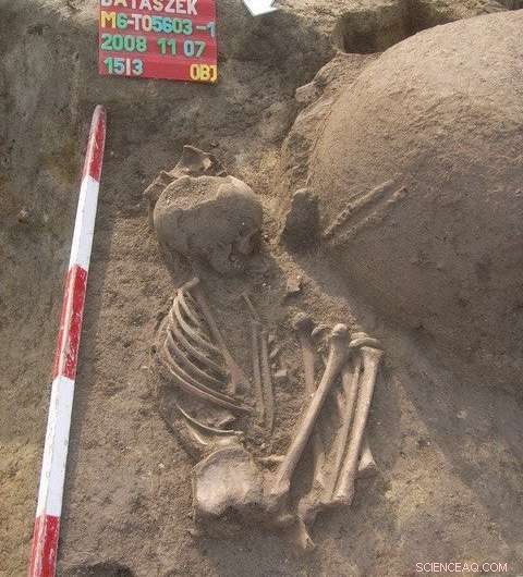 New DNA Research Reveals Interbreeding Between Neolithic Europeans and Anatolian Farmers