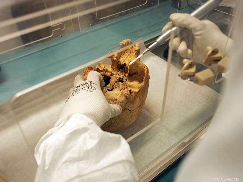 New DNA Research Reveals Interbreeding Between Neolithic Europeans and Anatolian Farmers