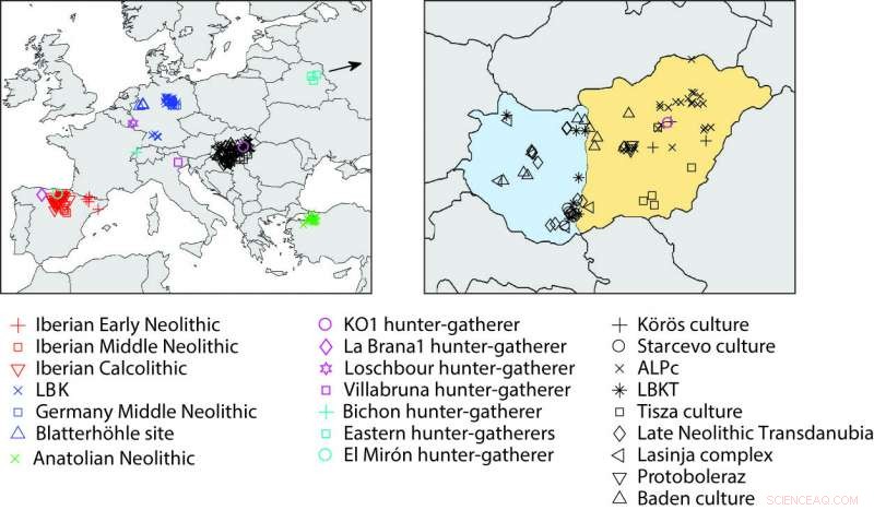New DNA Research Reveals Interbreeding Between Neolithic Europeans and Anatolian Farmers