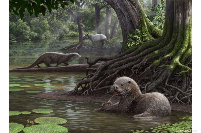 Ancient Giant Otter Unveils Astonishingly Powerful Bite