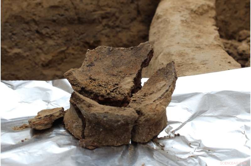 Ancient Middle East Reveals 8,000-Year-Old Winemaking – Earliest Evidence of Wine Production