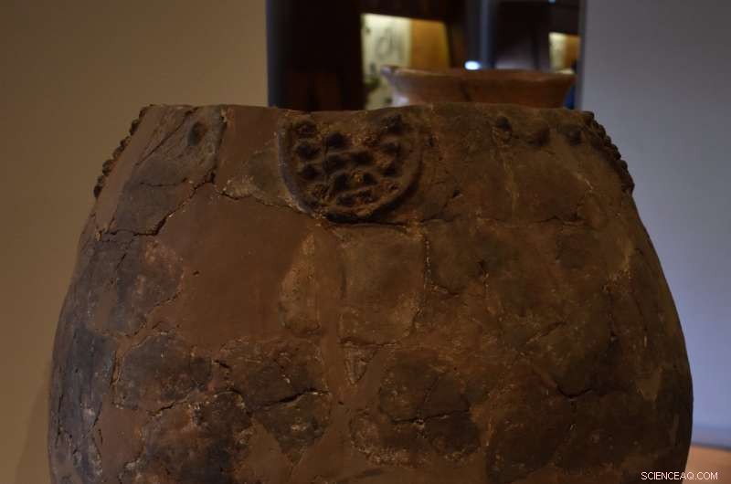 Ancient Middle East Reveals 8,000-Year-Old Winemaking – Earliest Evidence of Wine Production