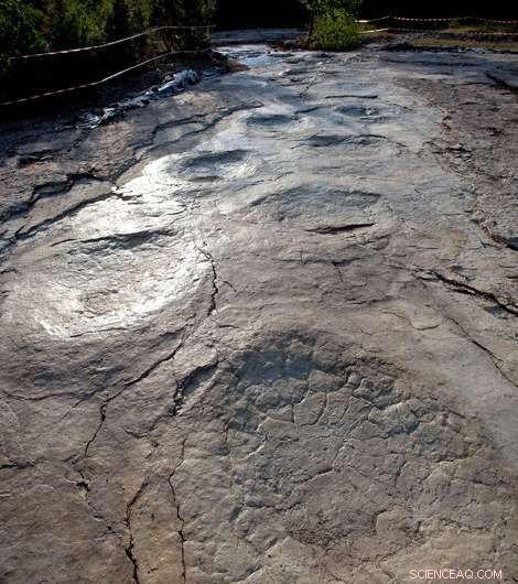 Unveiled: The World s Longest Sauropod Dinosaur Trackway Discovered