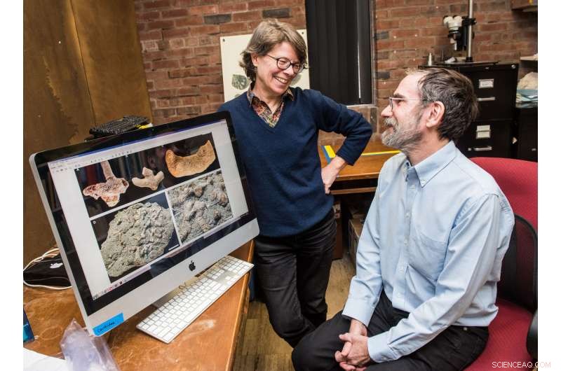 New Fossil Bridges Evolutionary Gap, Named After University of Chicago Professors