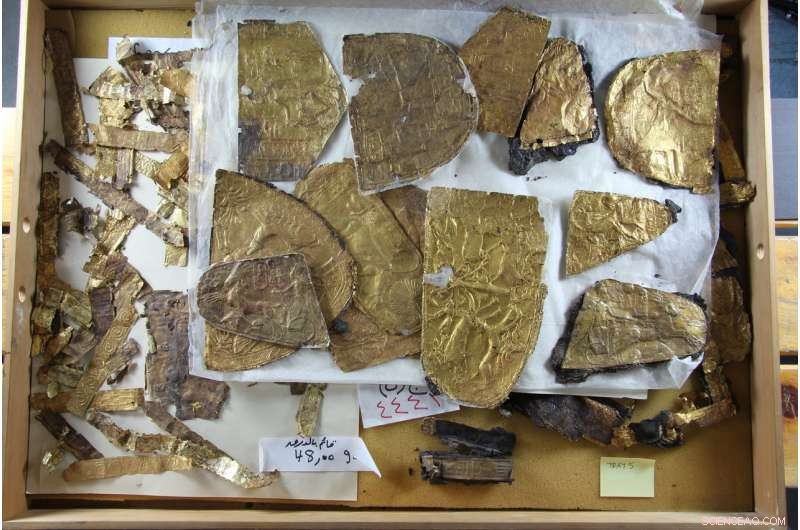 New Treasures Unearthed in Tutankhamun’s Tomb: Insights into Levantine Gold Motifs