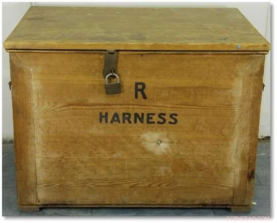 New Treasures Unearthed in Tutankhamun’s Tomb: Insights into Levantine Gold Motifs