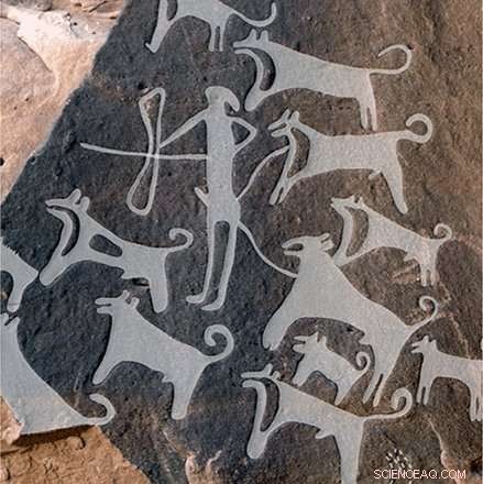 Ancient Saudi Wall Carvings Reveal Earliest Known Depictions of Dogs