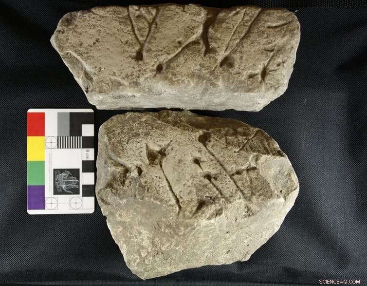 Britain s 6,000-Year-Old Cat s Brain Barrow Reveals Early Neolithic Life