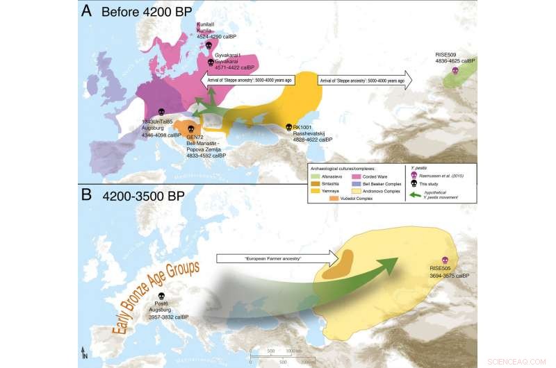 Yersinia pestis: Tracing the Stone Age Plague s Arrival in Central Europe