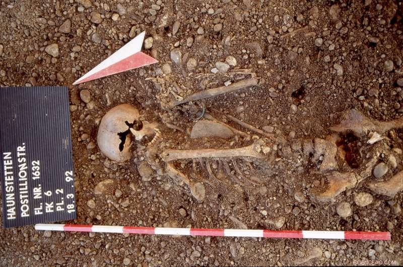 Yersinia pestis: Tracing the Stone Age Plague s Arrival in Central Europe