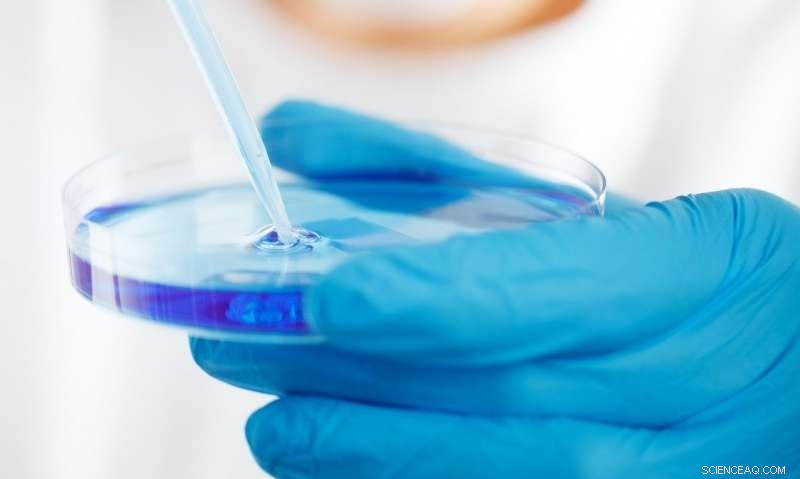 Innovation Persists: New Ideas Thrive Despite Slowing Productivity