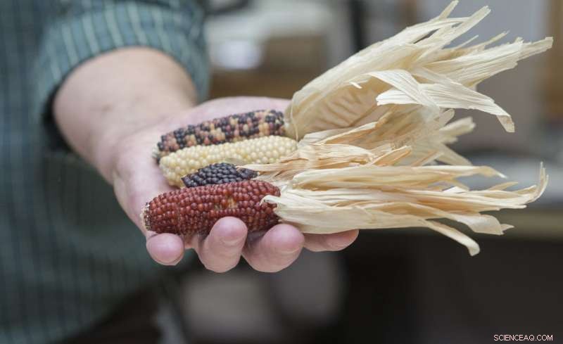 New Study Challenges Long‑Held Belief That Southwest Prehistoric Peoples Relied on Maize