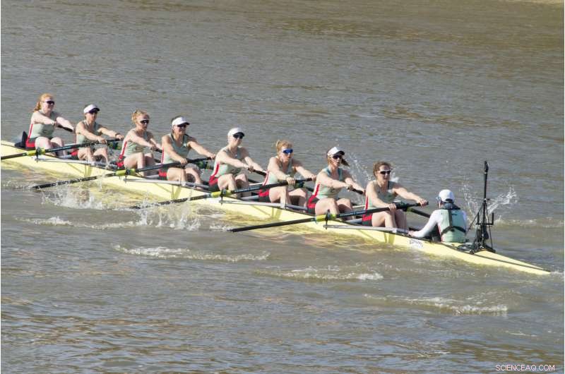 Prehistoric Women Exceed Modern Elite Rowers in Upper‑Body Strength