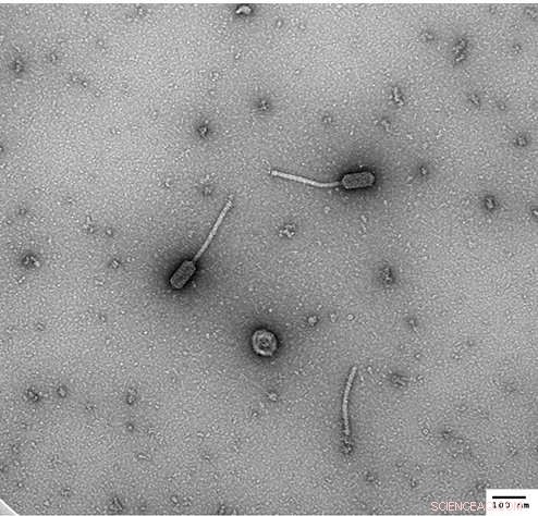 Keeping Students Engaged in Science: Strategies for Long‑Term Success