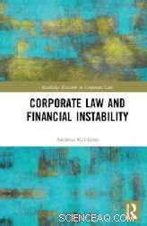 How Corporate Law May Undermine Financial Stability – Findings from Dr. Kokkinis