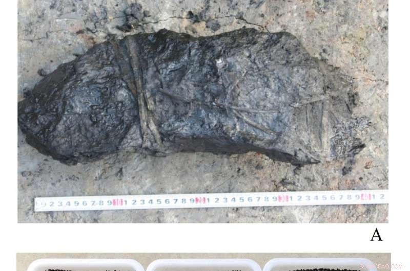 China’s Earliest Major Hydraulic Project Uncovered: A Revolutionary Water Management System