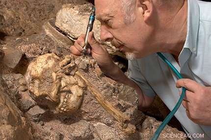 After 20 Years, Researchers Reveal the Most Complete Australopithecus Fossil Yet Discovered