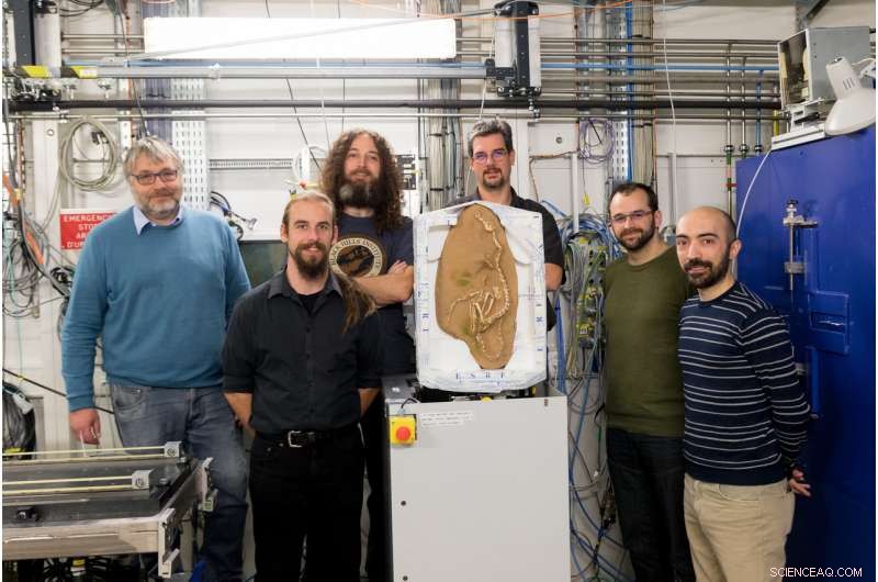 Synchrotron Imaging Reveals Amphibious Lifestyle of New Raptorial Dinosaur