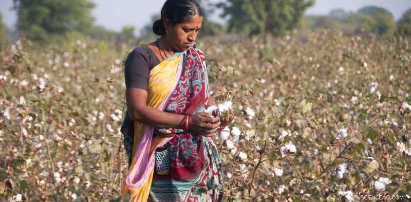 How a 20‑Cent Price Increase Can Raise Indian Workers  Wages to a Living Standard