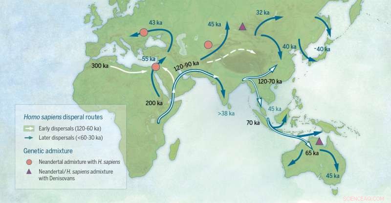 Revising the Narrative of Modern Human Dispersal Across Eurasia: Emerging Asian Perspectives