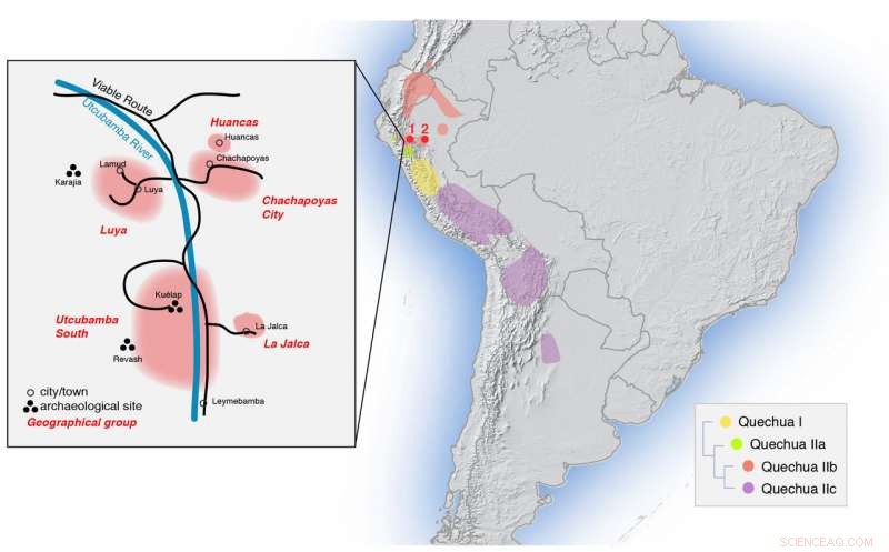 Genetic Evidence Reveals Long-Standing Indigenous Resistance to Inca Conquest