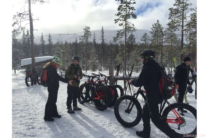 Tracking National Park Visitation: Real‑Time Insights from Social Media