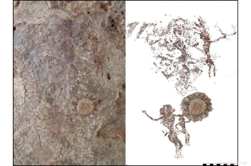 Kisar Island Revealed as a Treasure Trove of Ancient Cave Paintings