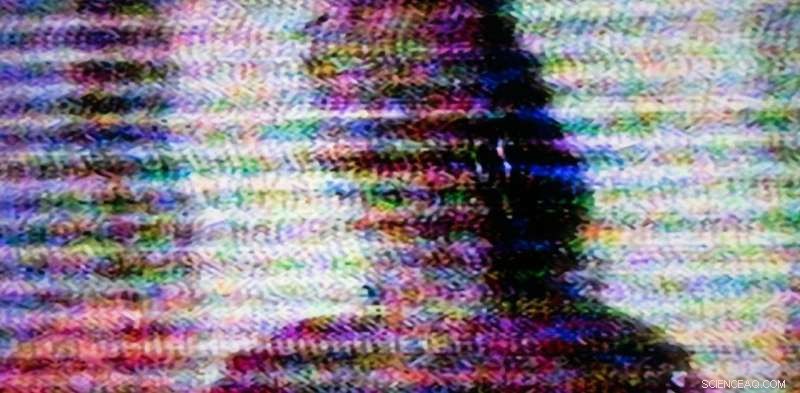 Can Mathematics Predict Your Next Move? Big Data Insights