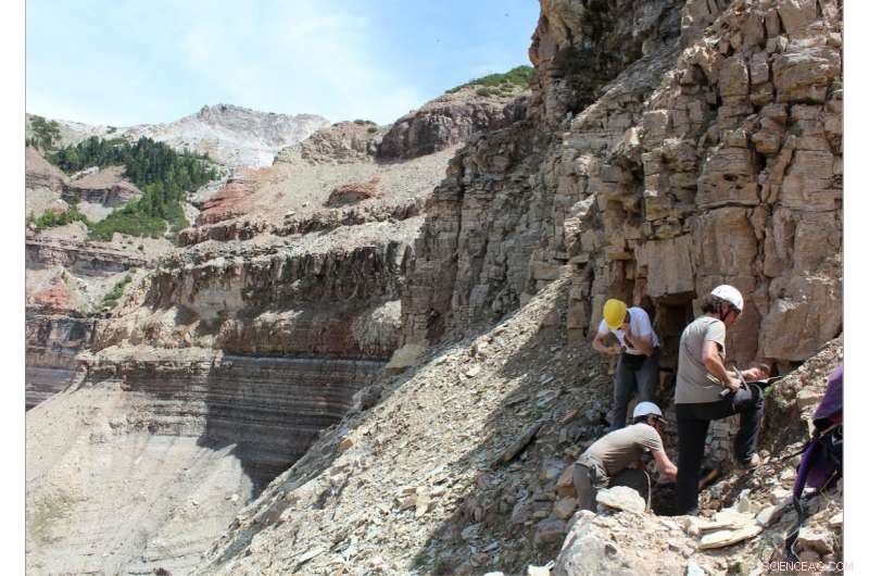 Late Permian Ecosystems: Key Insights for Modern Earth