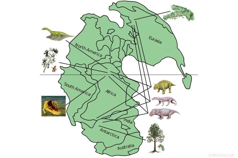 Late Permian Ecosystems: Key Insights for Modern Earth