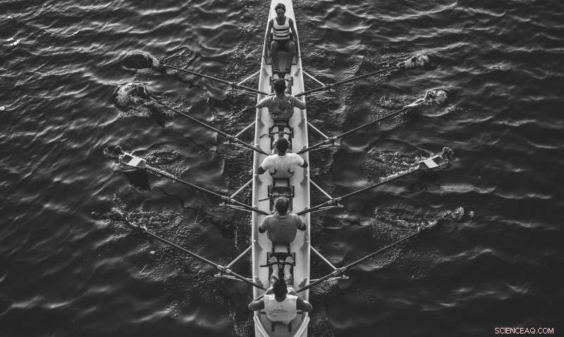 How Cooperation Drives Sustainable Resource Use: A New Scientific Theory