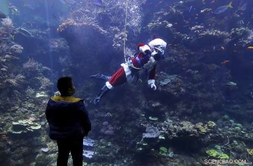 Santa Claus Dives to Delight Children at San Francisco’s Science Academy