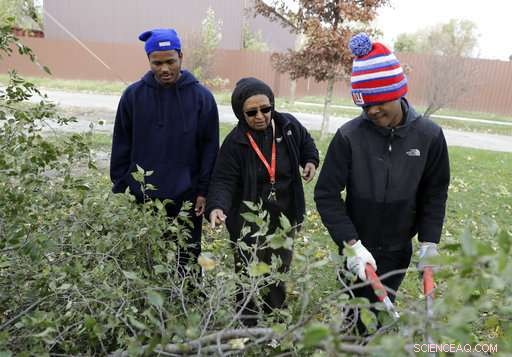 Urban Homicide Clusters Rise Even as City Safety Improves