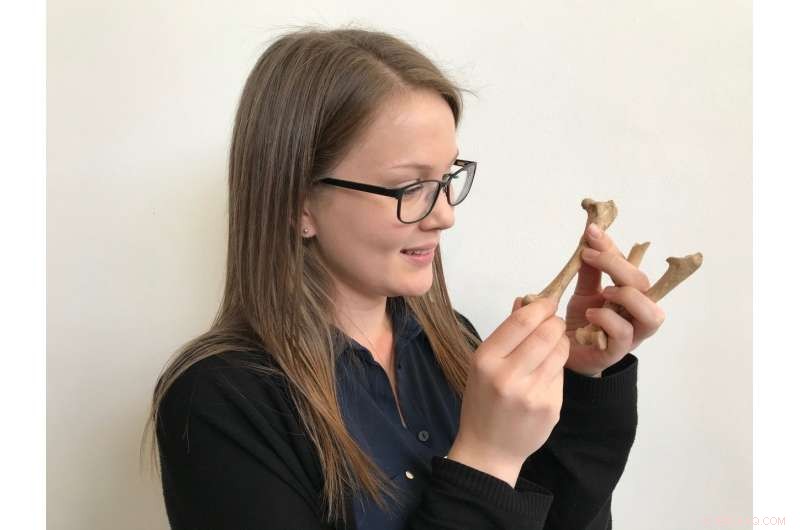 New Archaeological Find in Exeter May Reveal First Turkey Dinner in England