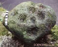 Unveiling 6,000-Year-Old Neolithic Rock Art: Insights into Early Northumberland Life