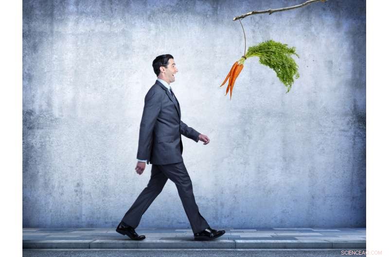 Combining Regulatory Enforcement with Support Services Boosts Business Compliance