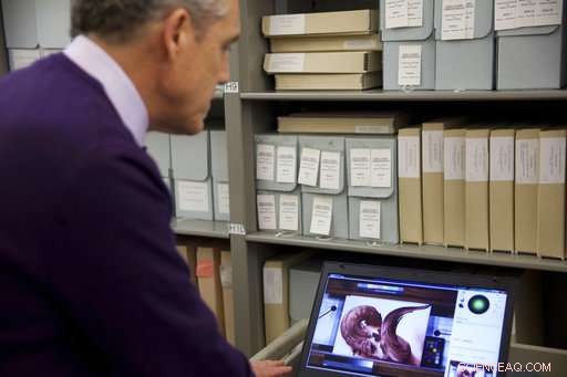 Conservators Deploy Advanced Imaging to Preserve Georgia O Keeffe s Iconic Paintings