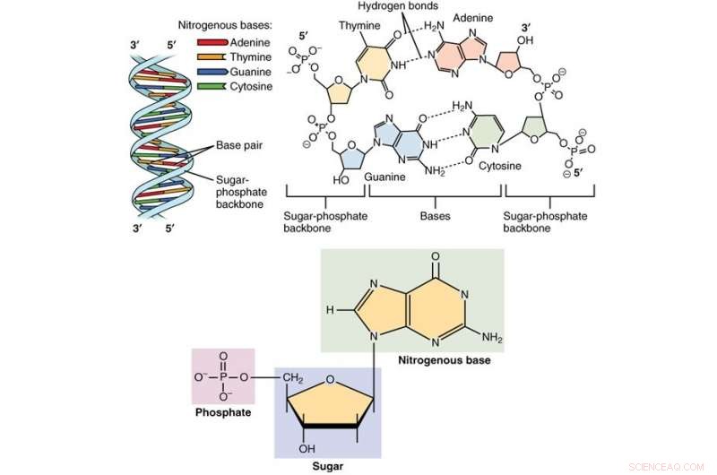 New Statistical Test Links Pathogen Mutations to Disease Progression