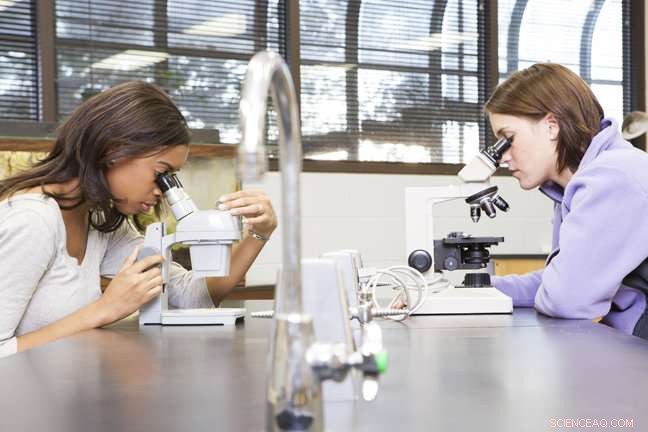 High‑Stakes Testing Amplifies Gender Gap in STEM, New Study Shows