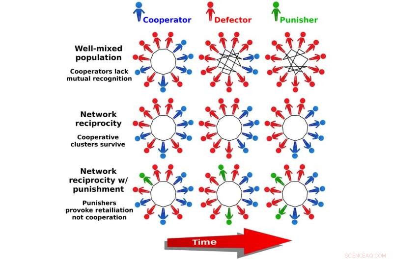 Assessing the True Impact of Punishment on Cooperation