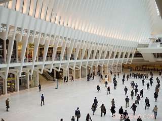 Integrating Experiments and Models Enhances Insights into Social Behavior