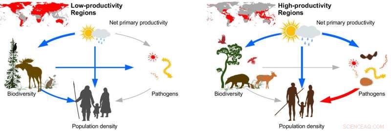 Cultural Evolution Alone Can t Shield Hunter‑Gatherers from Environmental Constraints