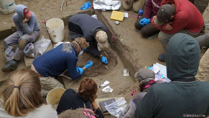 Genetic Evidence Reveals Origins of First Native Americans