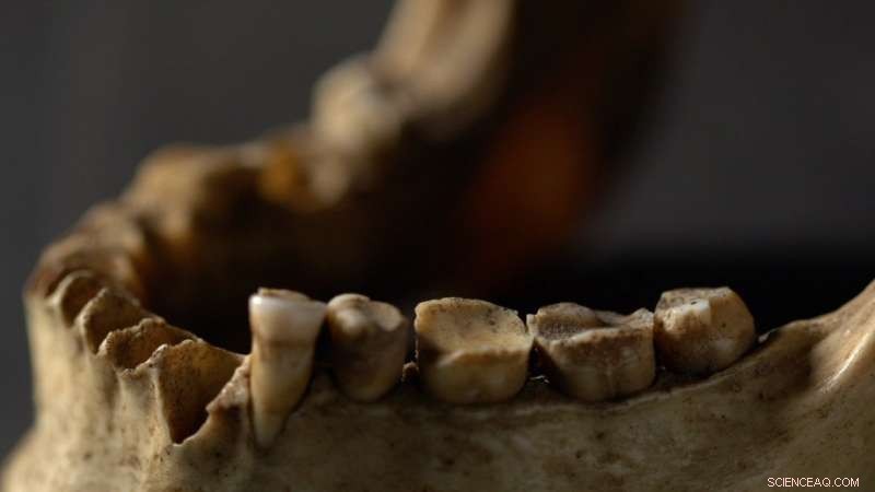 Revealing the True Lifespan of Historical Elders: New Tooth‑Wear Age Estimation