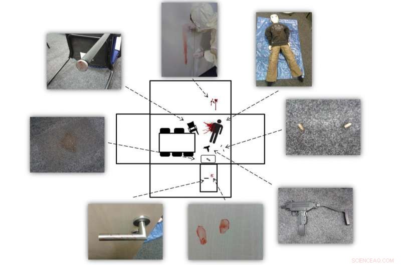 The CSI Effect Unveiled: TV Crime Dramas Don’t Enhance Criminal Skills
