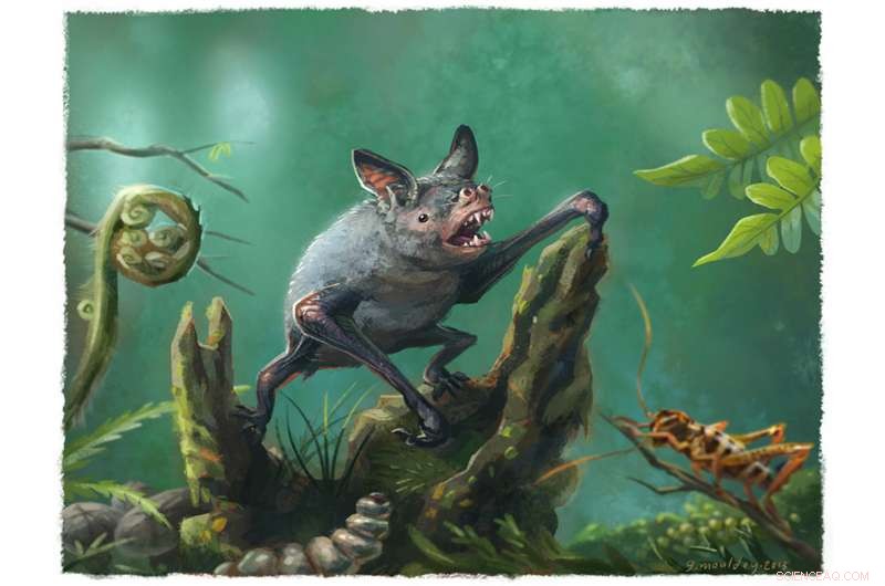 Scientists Discover Giant Extinct Burrowing Bat Fossil in New Zealand