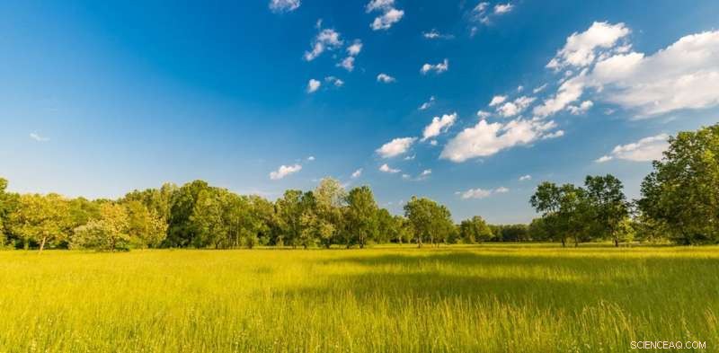 Why a Scientific Lens on Human Values Is Essential for Society