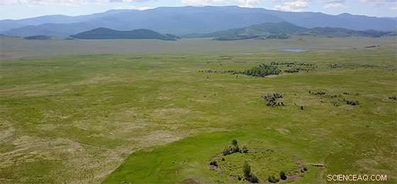 Swiss Archaeologist Finds Earliest Scythian Prince Tomb, Uncovering Rare Treasures